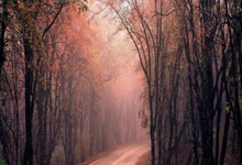 华体会官网-包含步行者擒凯尔特人，特纳盖帽成关键的词条