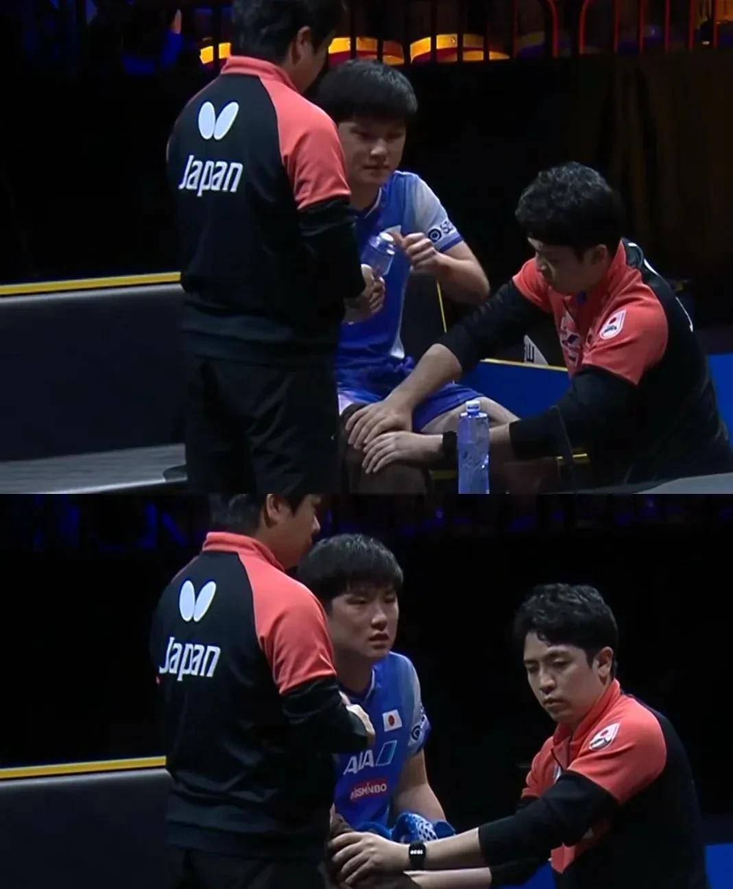 日本队完胜瑞典队，张本智和带队取胜